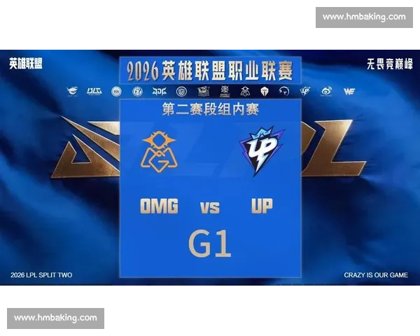 RW对阵OMG最新赛况解析：战术对比与关键选手表现全解读